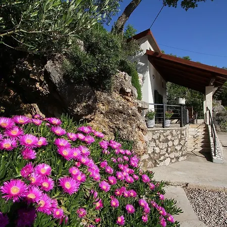 Haus Kicer 克拉列维察